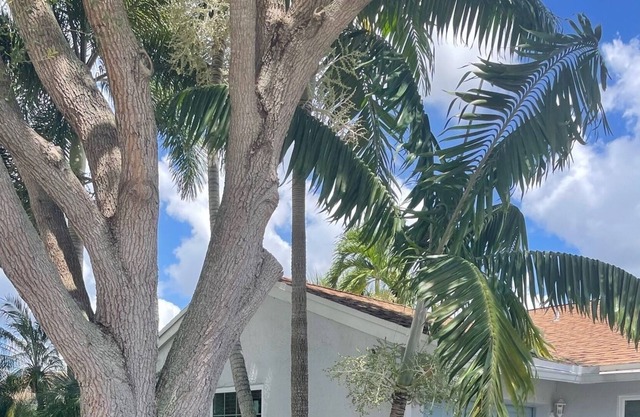 CasaIris-West Broward Bright&Sunny Home w/ pool