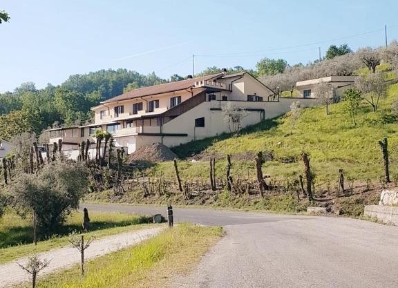 CASALE MICHEL