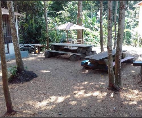 Casatemporada Piquiá