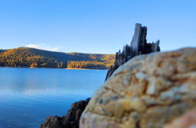 Cascade Caravan in the Sierra Foothills and within minutes of Scott's Flat Lake.