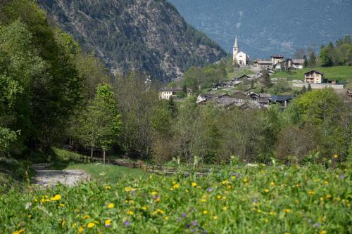Case Gran Paradiso Rhemes Saint Georges