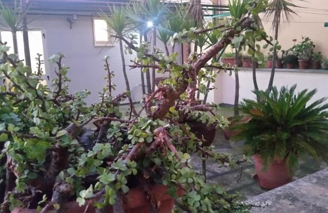 case vacanze, La casa di Angelo, con terrazzo