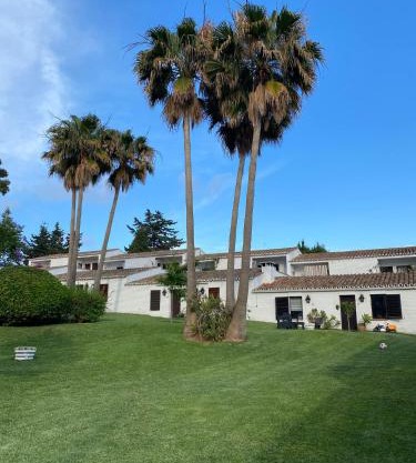 CASITA ART-OLA