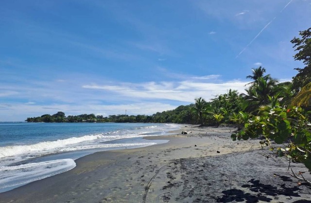 Casitas en la Jungla - Luz Tropical