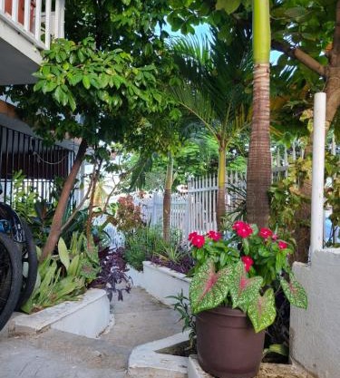 Casita Natural Village #4, #6, #7 & #8