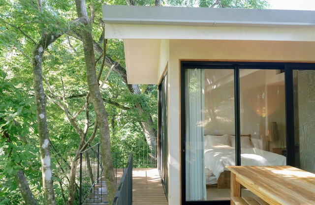 CASITA RAFIKI | SUSTAINABLE JUNGLE OASIS