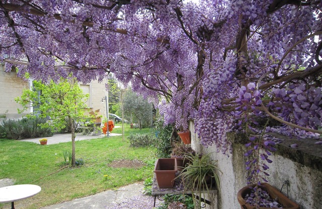 Castelletto Sopra Ticino: Casa / villa / chalet - Castelletto sopra Ticino