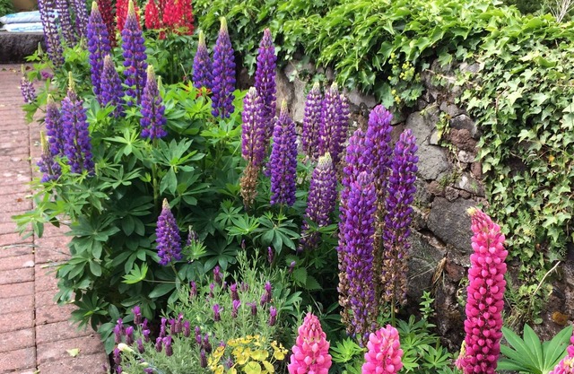 Castlecroft
