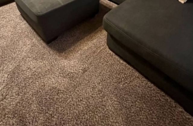 Casual Comfort: Cozy 2 KING minutes from NSU & Downtown Tahlequah