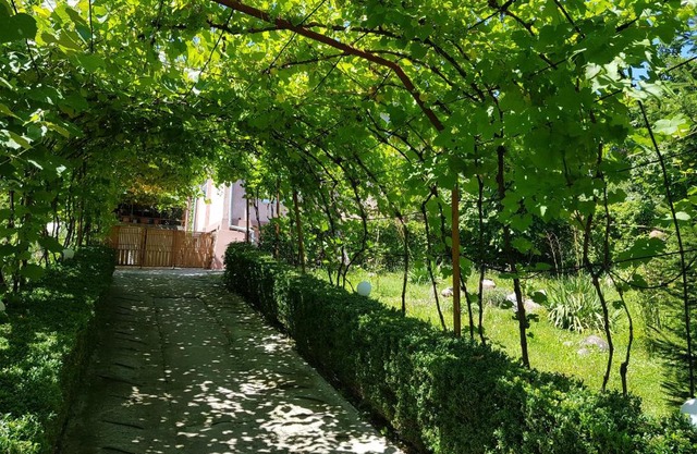Casuta dintre dealuri
