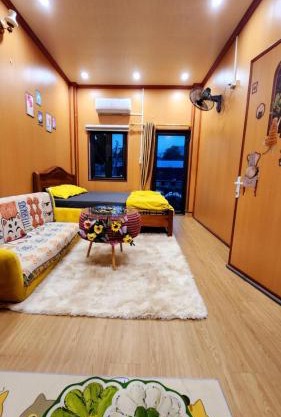 Cat homestay