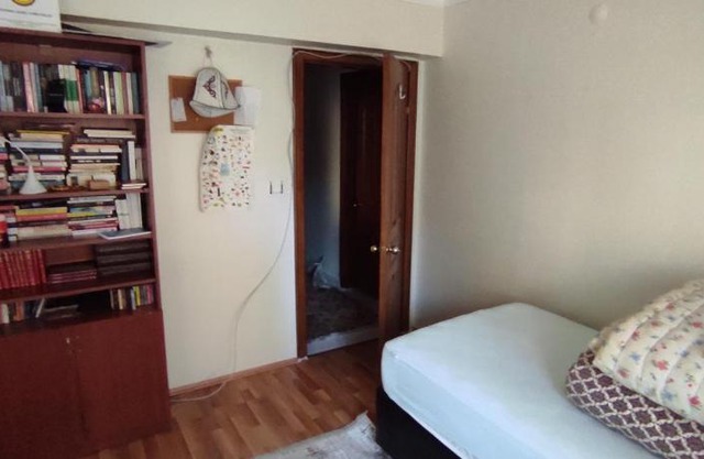 Cat's Home