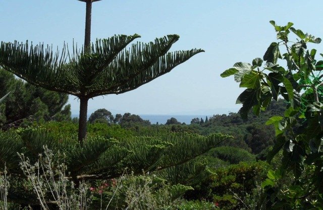 ***** Catering, 68 m2, con vistas al mar