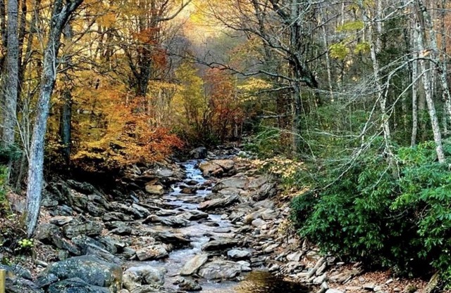 ⭐️Cattail Creek, Hiking, Fishing, Creeks,Fireplace, Mtns, Scenic Views, WiFi⭐️