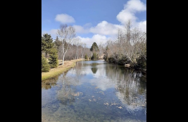 Cavendish Country Escape - Cottage en Beautiful P. E.I.