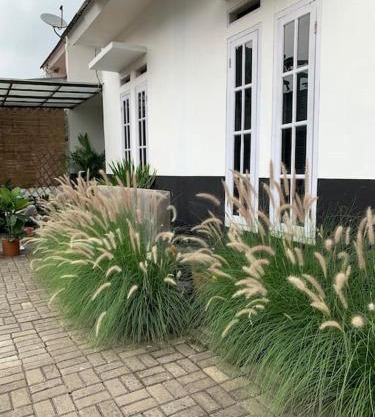 Ceana House at Selabintana