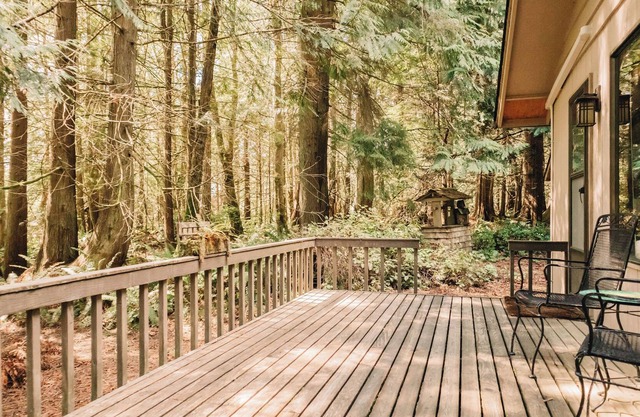 Cedar Grove Cottage: A Truly Magical Forest Retreat