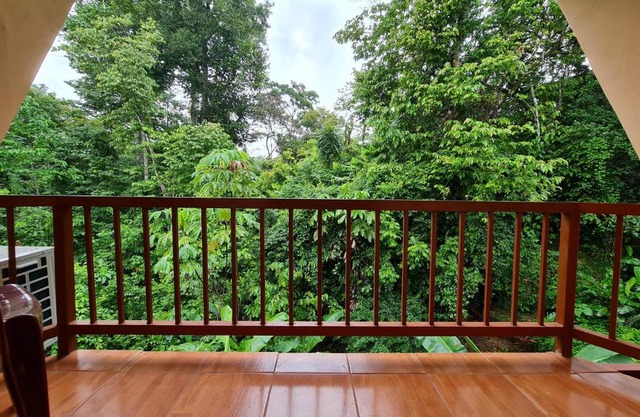 Ceiba lodge