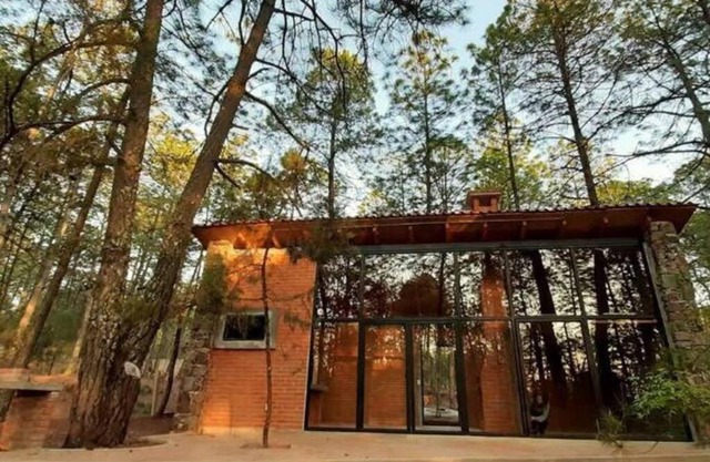Cabaña Cem-Anáhuac en el bosque