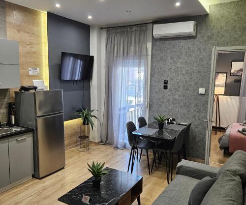 central 2 modern apartment