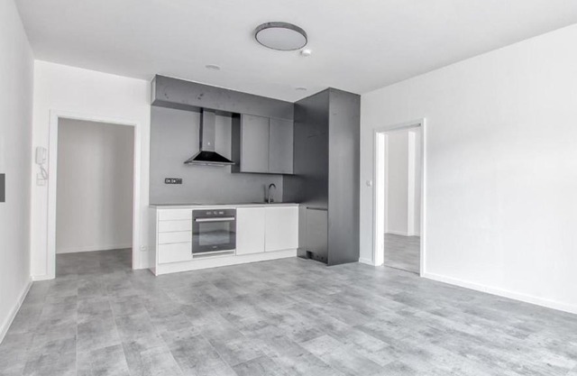 Central Apartment Opava
