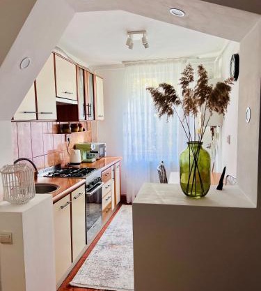 Central Apartment