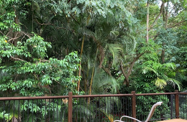 Central Buderim 1 Bed Apartment