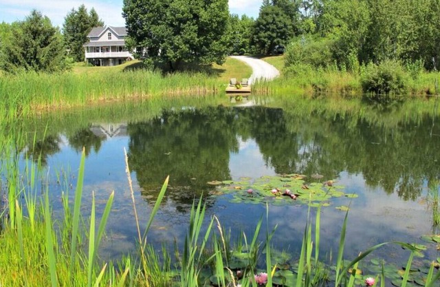 Century Farmhouse with Family Activities!
