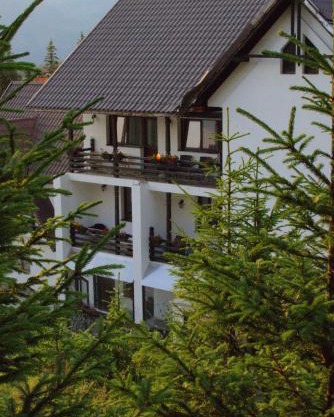Cetina