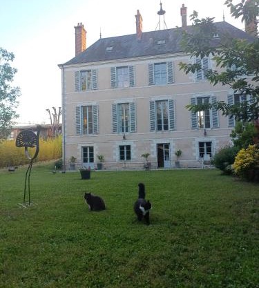 Château de la Mothe