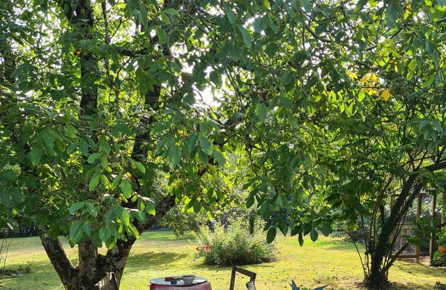 Chagall room in a quiet farmhouse