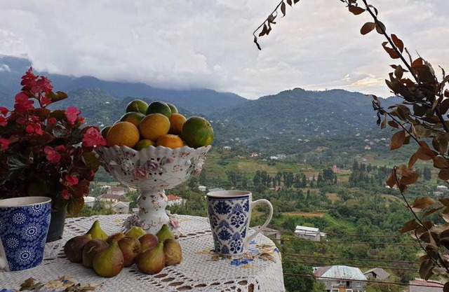 Chakvi View Guest House