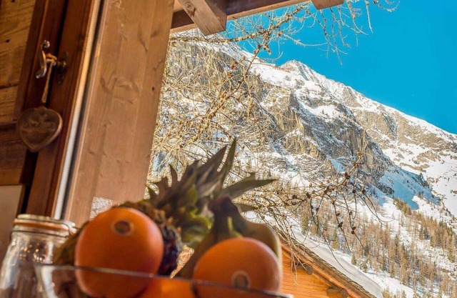 Chalet, 200m del centro estación, vista pistas, chimenea o estufa a leña, tv, local para esquís