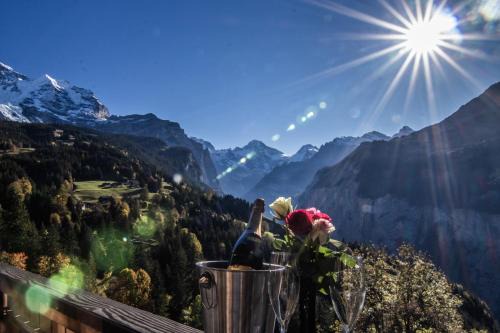 Chalet Aargovia South