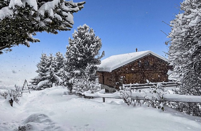 Chalet Albarose - Vercorin