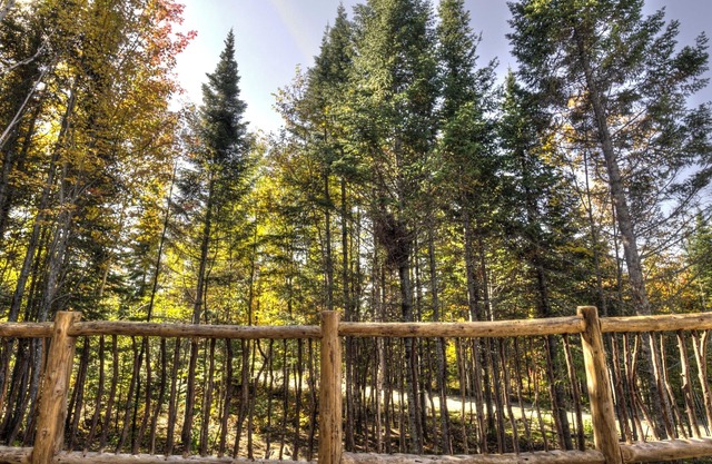 Chalet Bivouac