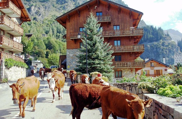 Chalet Bouquetin- Lynx for up to 6 people