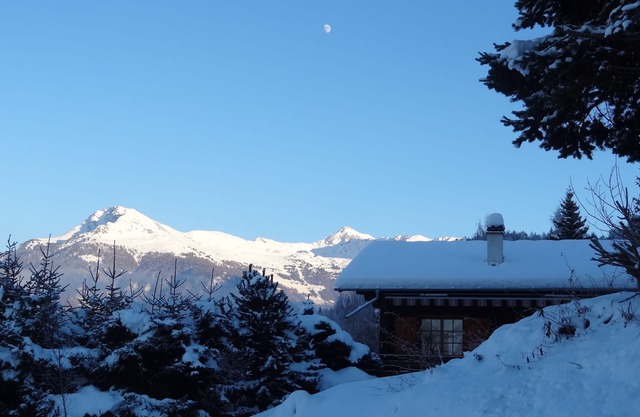 Casa de montaña (madera / piedra) - Vercorin