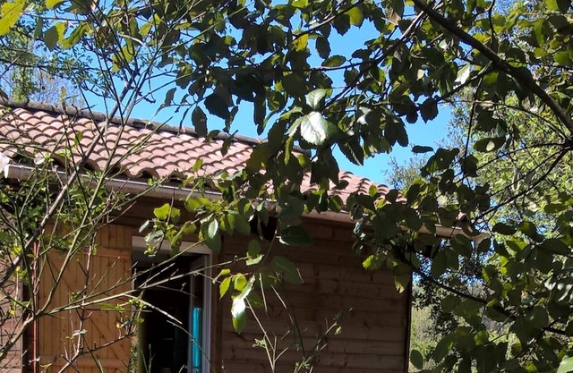 Casa de montaña (madera / piedra) - CHASSIERS