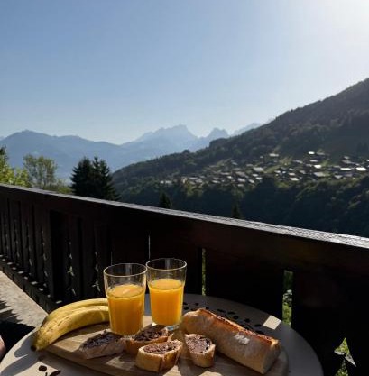 Chalet cosy au pied des Portes du Soleil