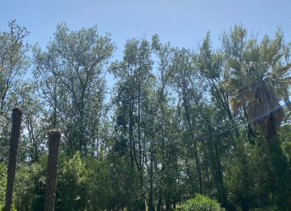 Chalet en pleine nature
