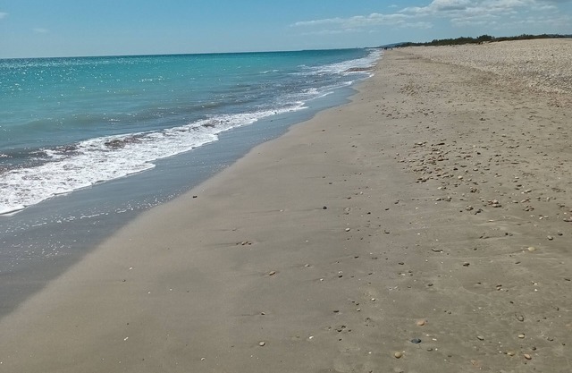 Chalet Dans Camping Avec Piscine, à 5 min de la Plage