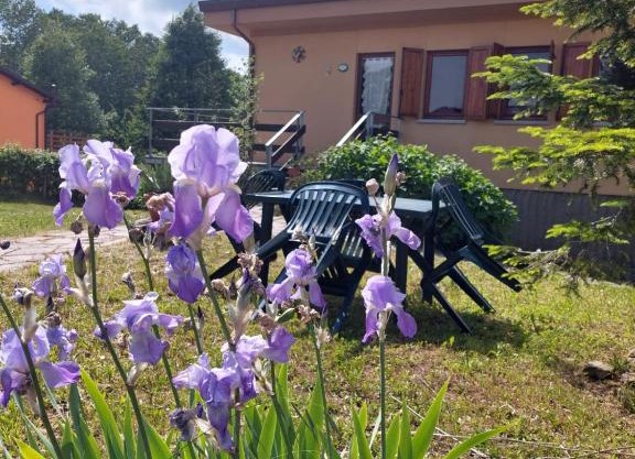 Chalet Grazia