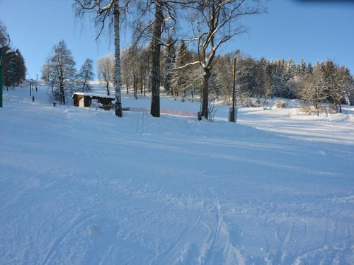 Chalet in Malá Skála near Ski Slopes