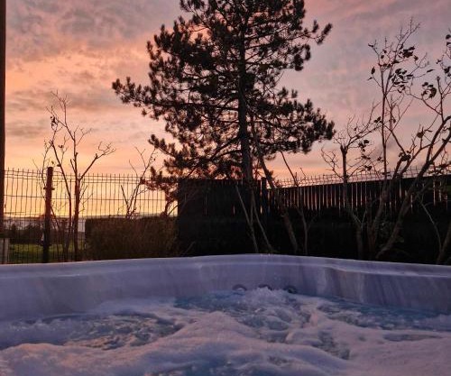 Chalet JACUZZI/spa privatif PERCE NEIGE