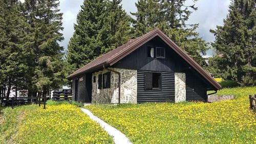 Chalet Klara