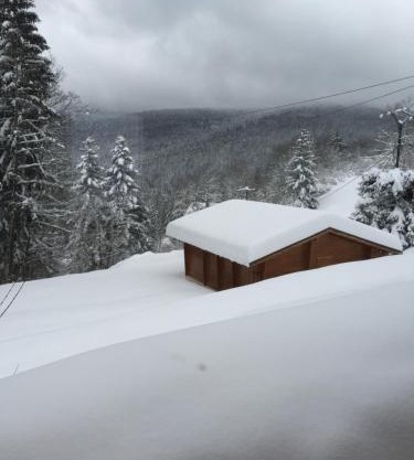 chalet "le Refuge du Brabant"