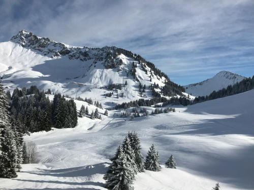 Chalet Les 3 Ours by Leavetown Vacations