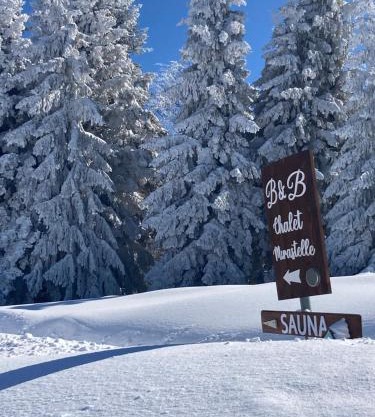 Chalet Mirastelle