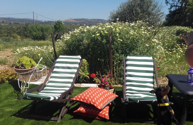 Chalet con piscina privada cerca de Zoomarine, Zona tranquila (WiFi gratis)